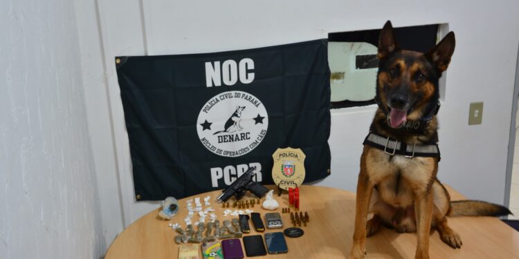 Polícia faz operação de combate ao tráfico de drogas e porte ilegal de armas em Foz