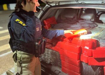 Motorista é abordado na BR-277, foge e PRF constata cinco crimes