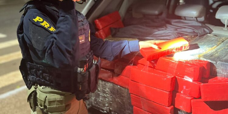 Motorista é abordado na BR-277, foge e PRF constata cinco crimes