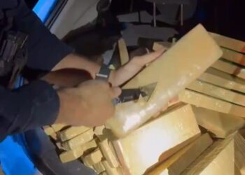 PRF apreende 605 kg de maconha em dois carros, após tentativa de fuga dos motoristas