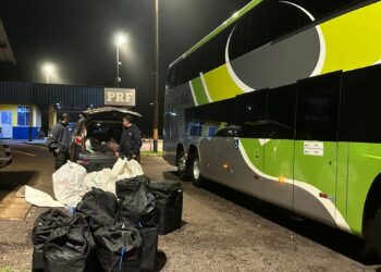 Após fiscalização na BR-277, Receita Federal apreende R$ 200 mil em mercadorias no fim de semana