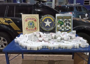 Anabolizantes lançados do alto da Ponte da Amizade são apreendidos na fronteira