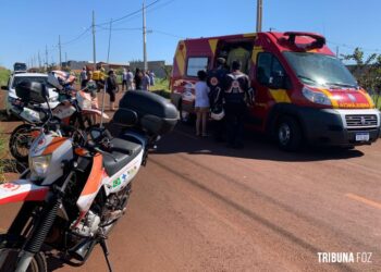 Mulher fica gravemente ferida após ataque de cães Pitbull soltos na rua em Foz do Iguaçu