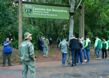 Turismo: Parque Nacional do Iguaçu reabre os caminhos do Poço Preto e das Bananeiras