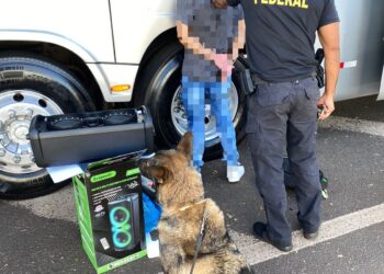 Cão farejador localiza volumes capulho dentro de caixa de som na rodoviária de Foz do Iguaçu