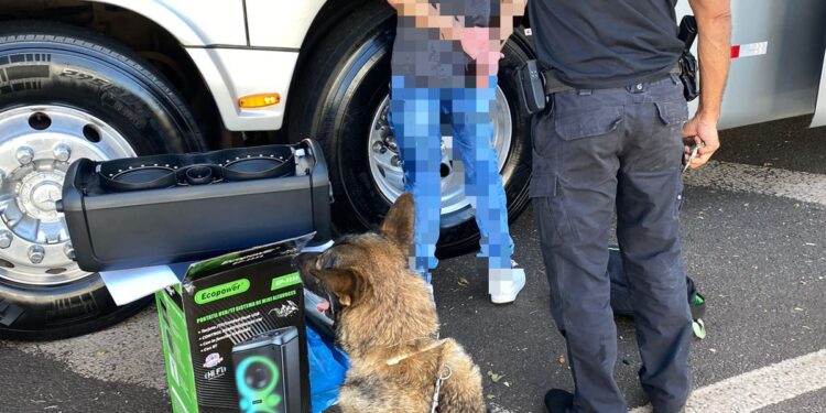 Cão farejador localiza volumes capulho dentro de caixa de som na rodoviária de Foz do Iguaçu