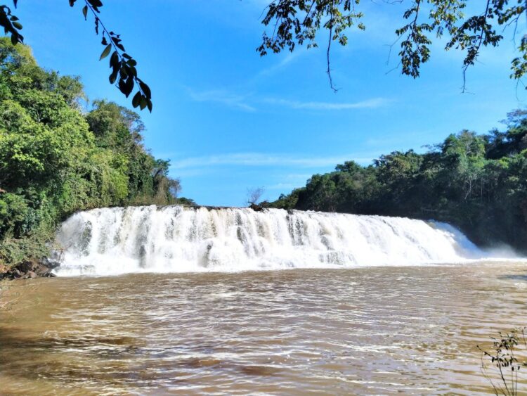 Reabertura de trilhas e ações de sensibilização ambiental no Parque Nacional do Iguaçu marcam Semana do Meio Ambiente