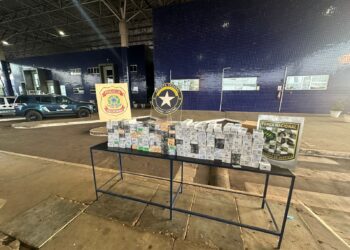 Ponte da Amizade: fiscalização resulta em 4 prisões e mais de R$ 500 mil em apreensões