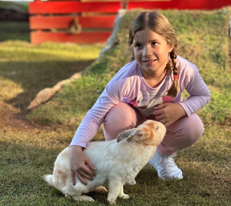 Eco Park de Foz do Iguaçu prepara primeira Festa Junina a partir de sábado (22)