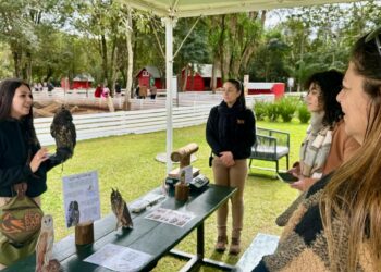 Turistas que visitam o Eco Park conhecem a rotina das corujas