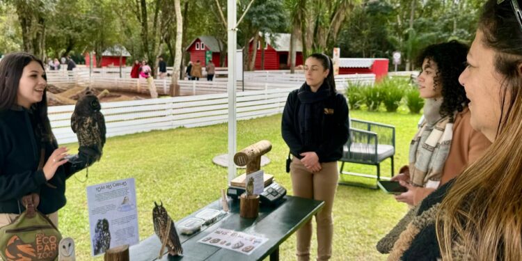 Turistas que visitam o Eco Park conhecem a rotina das corujas