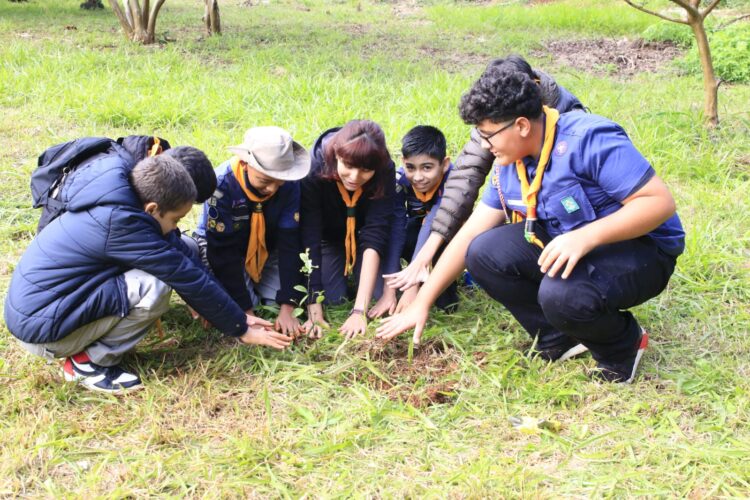 Dia de Proteção às Florestas é comemorado com plantio de árvores nativas em Foz