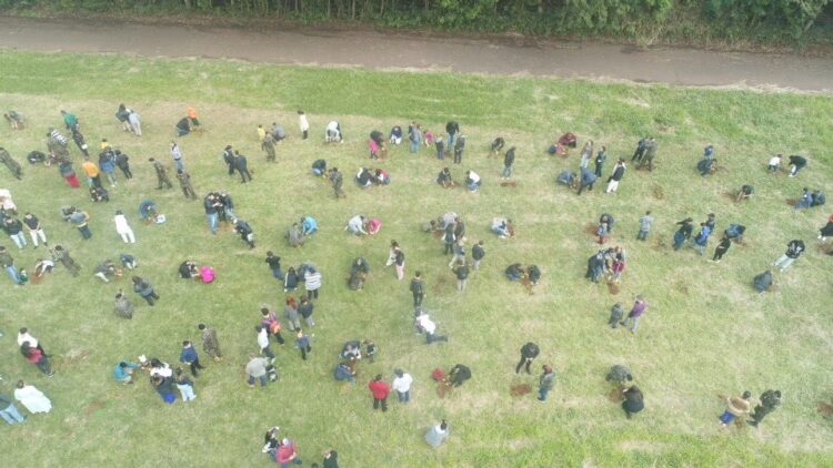 Dia de Proteção às Florestas é comemorado com plantio de árvores nativas em Foz