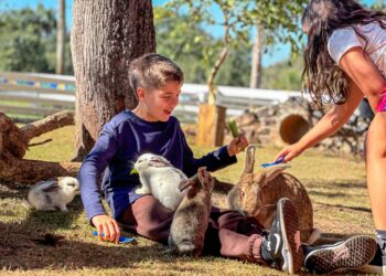 Turismo: Eco Park já registrou crescimento de 36% em julho