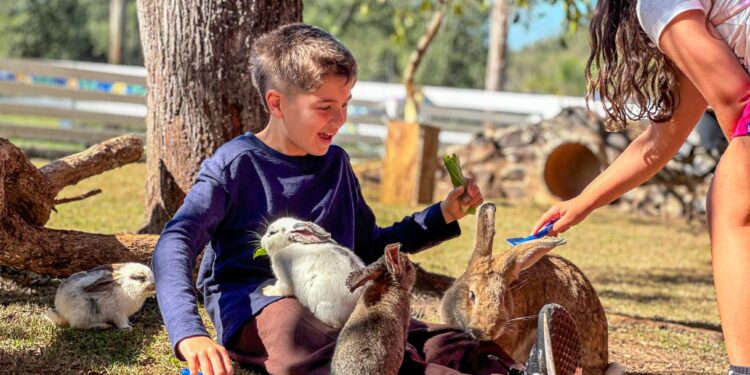 Turismo: Eco Park já registrou crescimento de 36% em julho