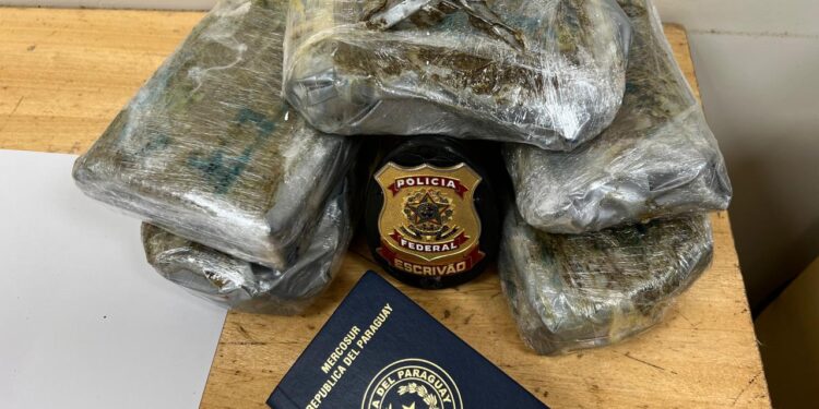 Cães farejadores indicam mala com cocaína em fundo falso no aeroporto de Foz