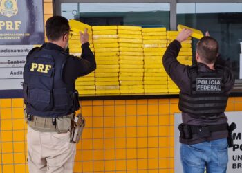 Motorista é preso transportando 83 kg cocaína em caixas de doces