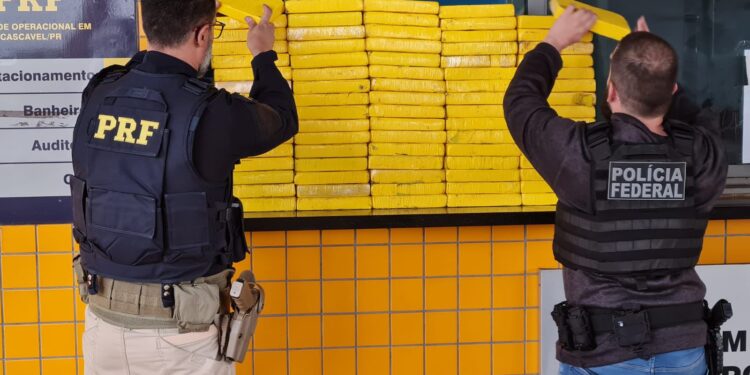 Motorista é preso transportando 83 kg cocaína em caixas de doces