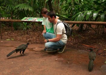 Para comemorar o Dia dos Pais, Parque das Aves está com uma promoção especial para os papais
