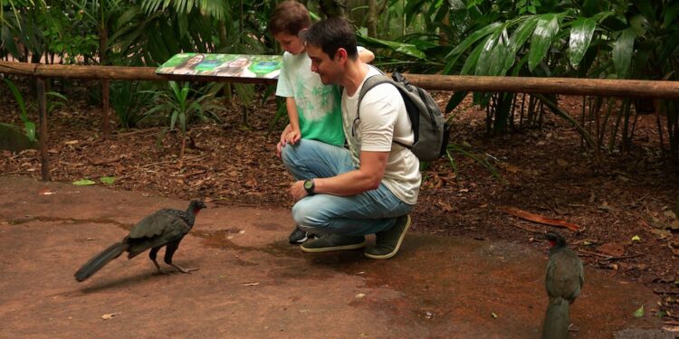 Para comemorar o Dia dos Pais, Parque das Aves está com uma promoção especial para os papais