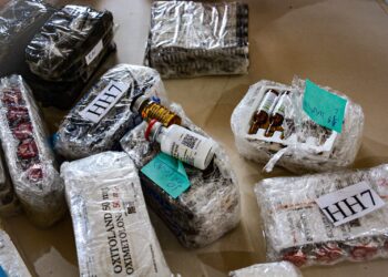 Polícia encontra anabolizantes e estimulantes sexuais em transportadora de Foz