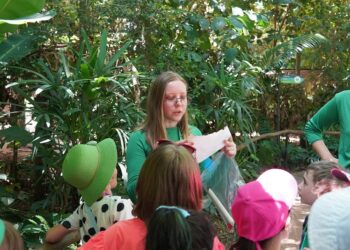 Parque das Aves prepara exposição para celebrar o Dia de Proteção aos Manguezais