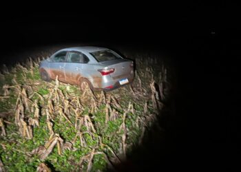 Veículos carregados com cigarros contrabandeados são apreendidos pela PF