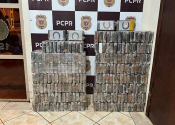 Foragido da Justiça de Santa Catarina é preso em Foz do Iguaçu com 244 kg de cocaína