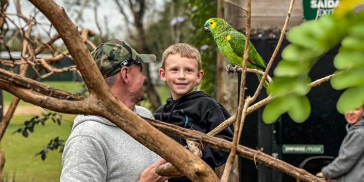 Eco Park terá programação especial para as crianças nestas férias
