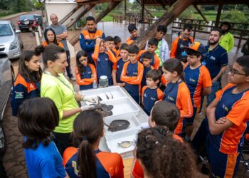 Meninos do Lago participam de marcação de peixes na Itaipu