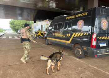 Dois cães farejadores são os novos aliados da PF nas fiscalizações na fronteira