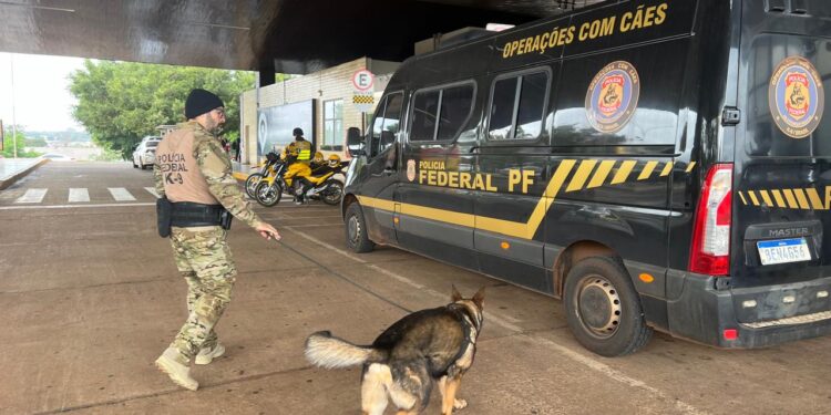 Dois cães farejadores são os novos aliados da PF nas fiscalizações na fronteira