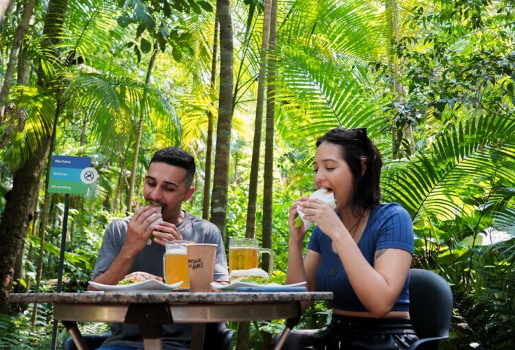Parque das Aves espera receber 100 mil visitantes em julho em Foz do Iguaçu