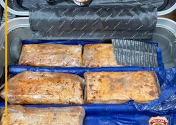 Paraguaio é preso no aeroporto de Foz com cocaína escondida em fundo falso na mala