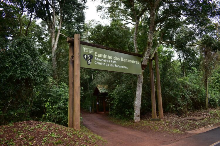 Confira as 7 atividades para aproveitar o Dia dos Pais no Parque Nacional do Iguaçu