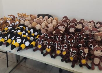 Itaipu estimula trabalho de mulheres internas na Penitenciária de Foz do Iguaçu