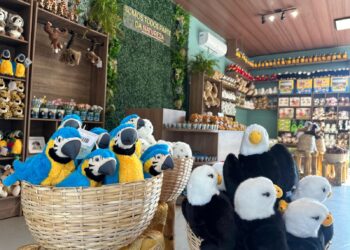 Loja de lembranças do Eco Park homenageia animais e ajuda projeto Onças do Iguaçu