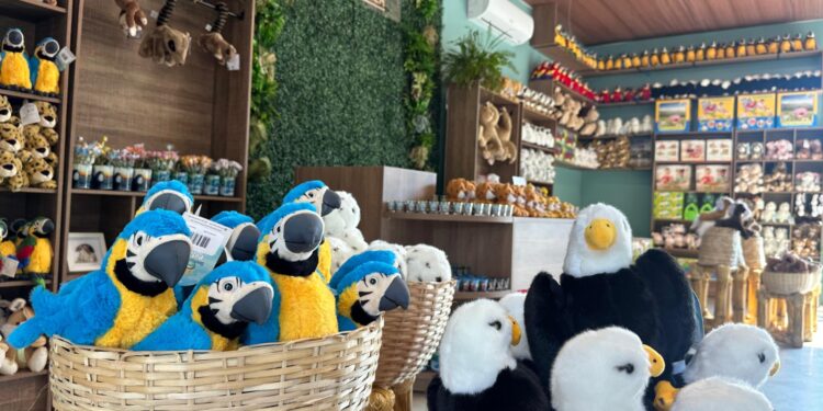 Loja de lembranças do Eco Park homenageia animais e ajuda projeto Onças do Iguaçu