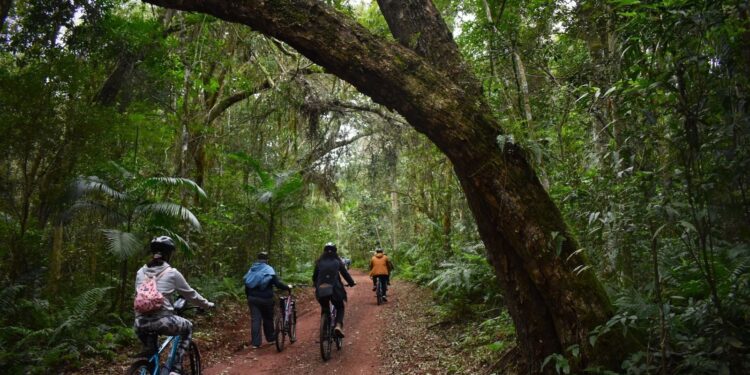 Parque Nacional do Iguaçu segue com os passeios guiados de bicicleta pela floresta da Mata Atlântica