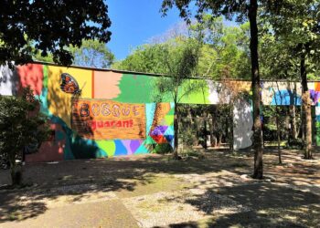 Operação contra fraudes em licitações de alimentos cumpre mandados de busca e apreensão em Foz e Curitiba