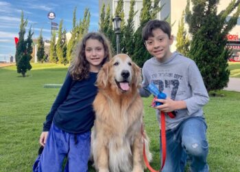 Atrativos do Complexo Dreams Park Show agora são Pet Frendly