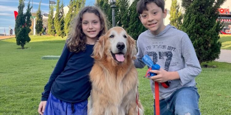 Atrativos do Complexo Dreams Park Show agora são Pet Frendly