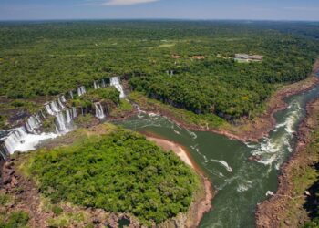 Confira as 7 atividades para aproveitar o Dia dos Pais no Parque Nacional do Iguaçu