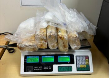 Polícia prende passageiro no aeroporto com 4,4 kg de cocaína em fundo falso na bagagem