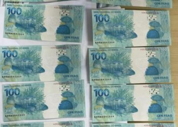 PF faz operação e intercepta encomenda de moedas falsas