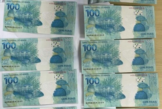 PF faz operação e intercepta encomenda de moedas falsas