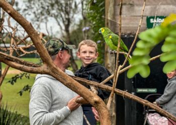 Pais vão entrar de graça no Eco Park, no próximo domingo, dia 11