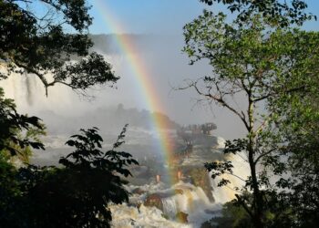 Comemore o Dia Mundial do Turismo no Parque Nacional do Iguaçu