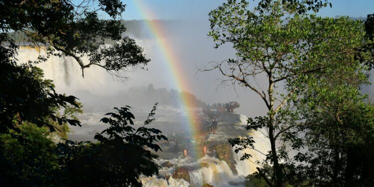 Comemore o Dia Mundial do Turismo no Parque Nacional do Iguaçu