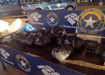 Homem é preso na Ponte da Amizade transportando 27 kg de cabelo humano em fundo falso no veículo